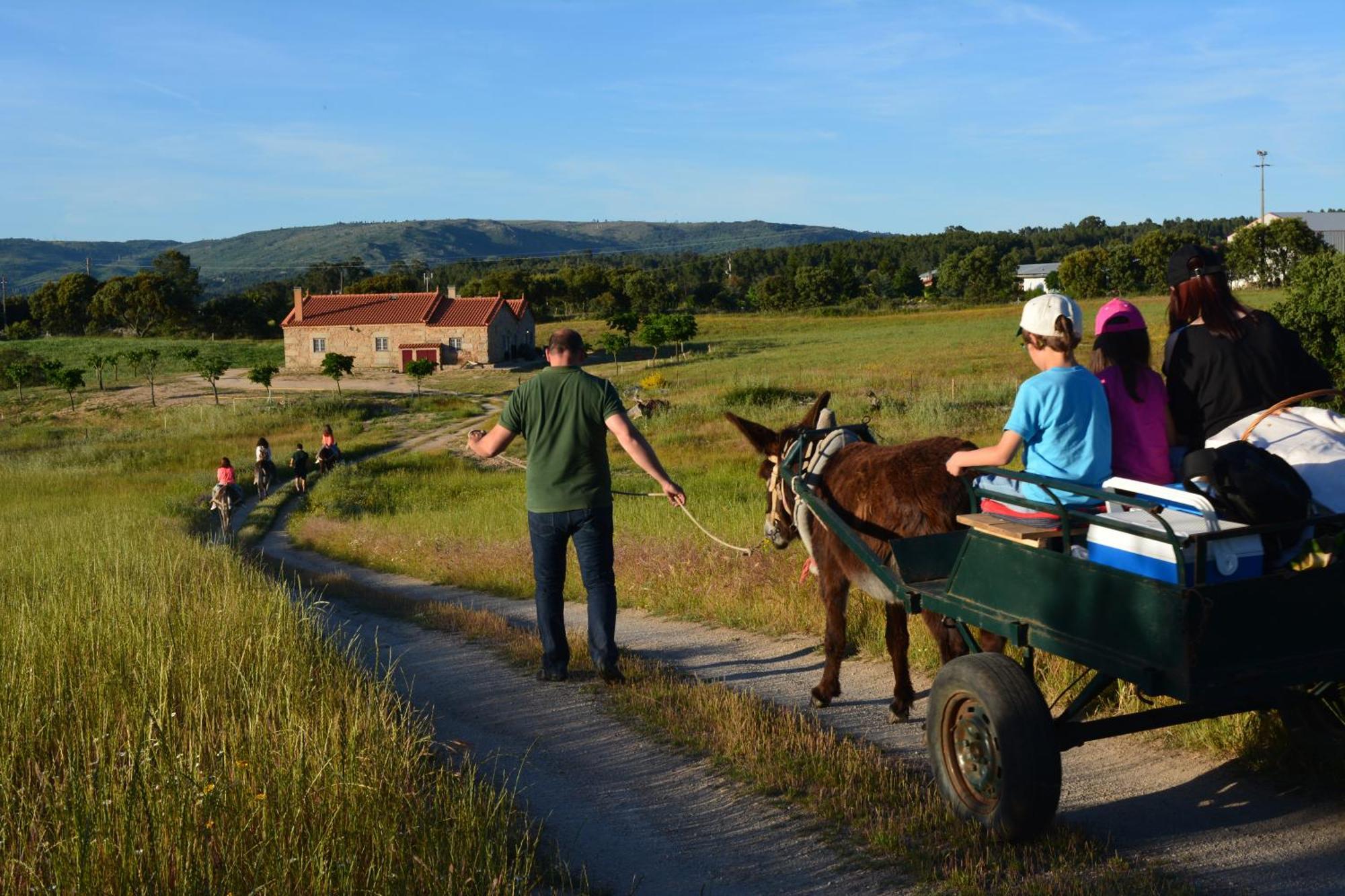 Turismo Rural 4Quintas Minhocal Exteriör bild